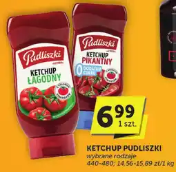 Groszek Ketchup PUDLISZKI wybrane rodzaje oferta