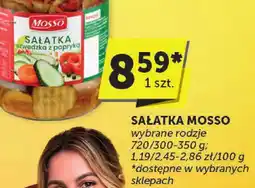 ABC Sałatka Mosso wybrane rodzaje 720/300-350 g oferta