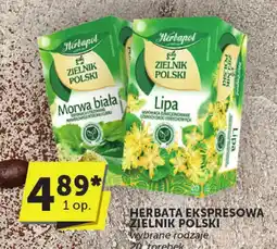Groszek Herbata ekspresowa zielnik polski Herbapol wybrane rodzaje oferta