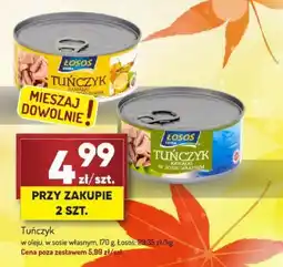 Avita Tuńczyk oferta