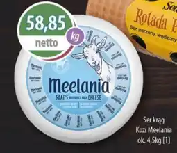 DUO-TES Ser krąg Kozi Meelania oferta