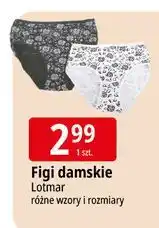 E.Leclerc Figi damskie Lotmar oferta