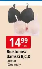 E.Leclerc Biustonosz damski d Lotmar oferta