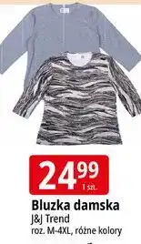 E.Leclerc Bluzka damska m-4xl J&J Trend oferta
