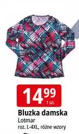 E.Leclerc Bluzka damska l-4xl Lotmar oferta