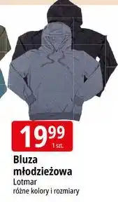 E.Leclerc Bluza młodzieżowa Lotmar oferta
