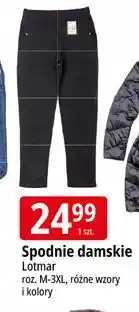 E.Leclerc Spodnie damskie dresowe rozm. m-3xl Lotmar oferta