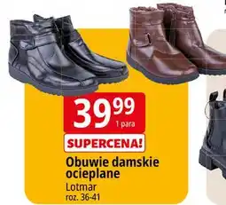 E.Leclerc Obuwie damskie 36-40 Lotmar oferta