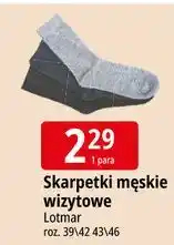 E.Leclerc Skarpetki męskie wizytowe 43-46 Lotmar oferta