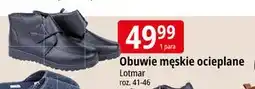 E.Leclerc Buty meśkie 41-46 Lotmar oferta