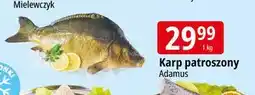 E.Leclerc Karp tusza Adamus oferta