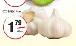 Sedal Czosnek oferta