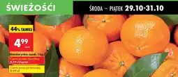 Biedronka Mandarynka, opak. 1 kg Biedronka oferta