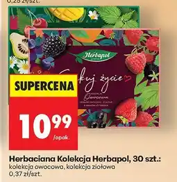 Biedronka Herbaciana Kolekcja Herbapol, 30 szt.: kolekcja owocowa, kolekcja ziołowa oferta