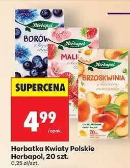 Biedronka Herbatka Kwiaty Polskie Herbapol, 20 szt oferta