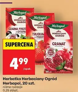 Biedronka Herbatka Herbaciany Ogród Herbapol, 20 szt.: różne rodzaje oferta