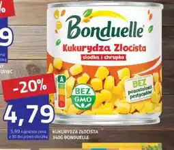 Hildebrandt Kukurydza Złocista oferta