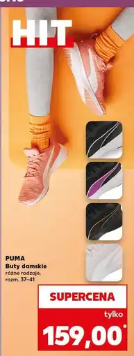 Kaufland Buty damskie 37-41 Puma oferta