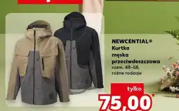 Kaufland Kurtka męska 48-58 Newcential oferta