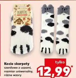 Kaufland Skarpetki kocie oferta