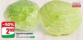 Dino Kapusta na gołąbki oferta