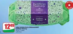 Dino Jaja świeże kury zielononóżki Kotlinia Natury oferta