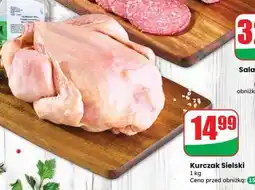 Dino Kurczak sielski oferta