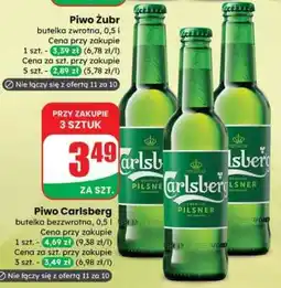 Dino Piwo Carlsberg oferta