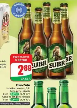 Dino Piwo ŻUBR oferta
