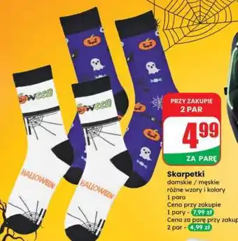 Dino Skarpetki oferta