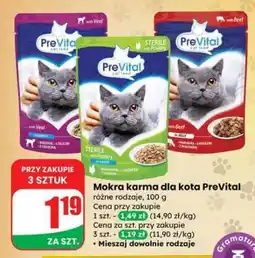 Dino Mokra karma dla kota PreVital oferta