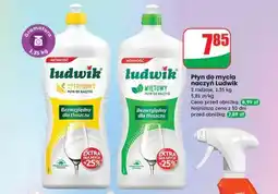 Dino Płyn do mycia naczyń Ludwik oferta