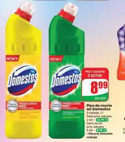 Dino Płyn do mycia WC Domestos oferta