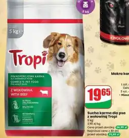 Dino Sucha karma dla psa z wołowiną Tropi oferta