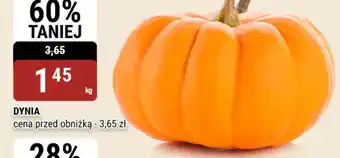 bi1 Dynia oferta