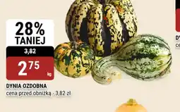 bi1 Dynia ozdobna oferta