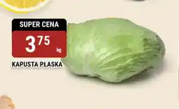 bi1 Kapusta płaska oferta
