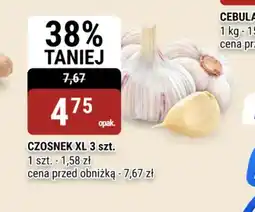 bi1 CZOSNEK XL oferta