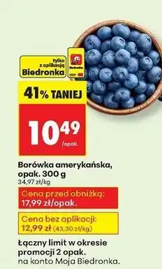 Biedronka Borówki amerykańskie oferta