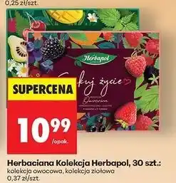 Biedronka Zestaw herbat ziołowych Herbapol oferta