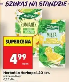 Biedronka Herbatka mięta z cytryną i trawą cytrynową Herbapol oferta