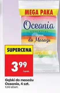 Biedronka Gąbki do masażu Oceania oferta