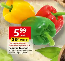 Auchan Papryka trikolor hiszpania oferta