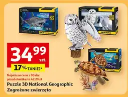 Auchan Puzzle 3d żółw National Geographic oferta
