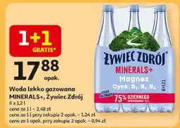 Auchan Woda lekko gazowana Żywiec Zdrój Minerals+ oferta
