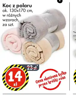 Tedi Koc z polaru oferta