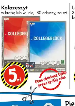 Tedi Kołozeszyt oferta