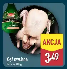 ALDI Gęś owsiana Aldi oferta