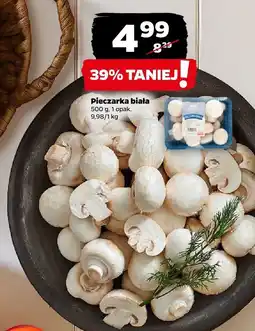 Netto Pieczarka biała Netto oferta
