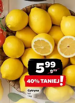 Netto Cytryna luz Netto oferta